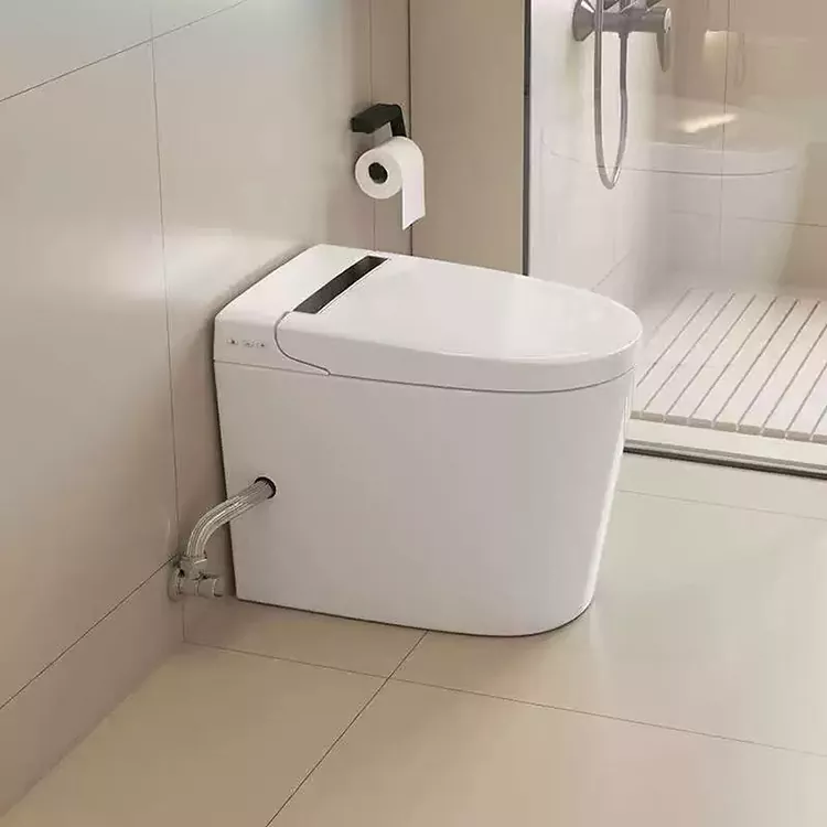 Modèn twalèt entelijan minimalist